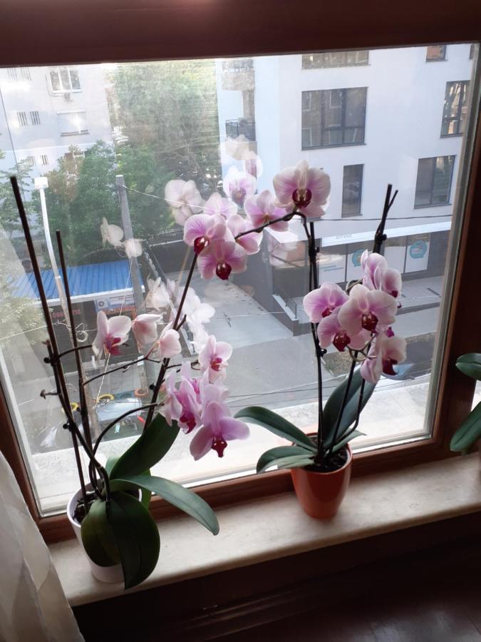 Four Seasons + Apartment Варна Екстериор снимка